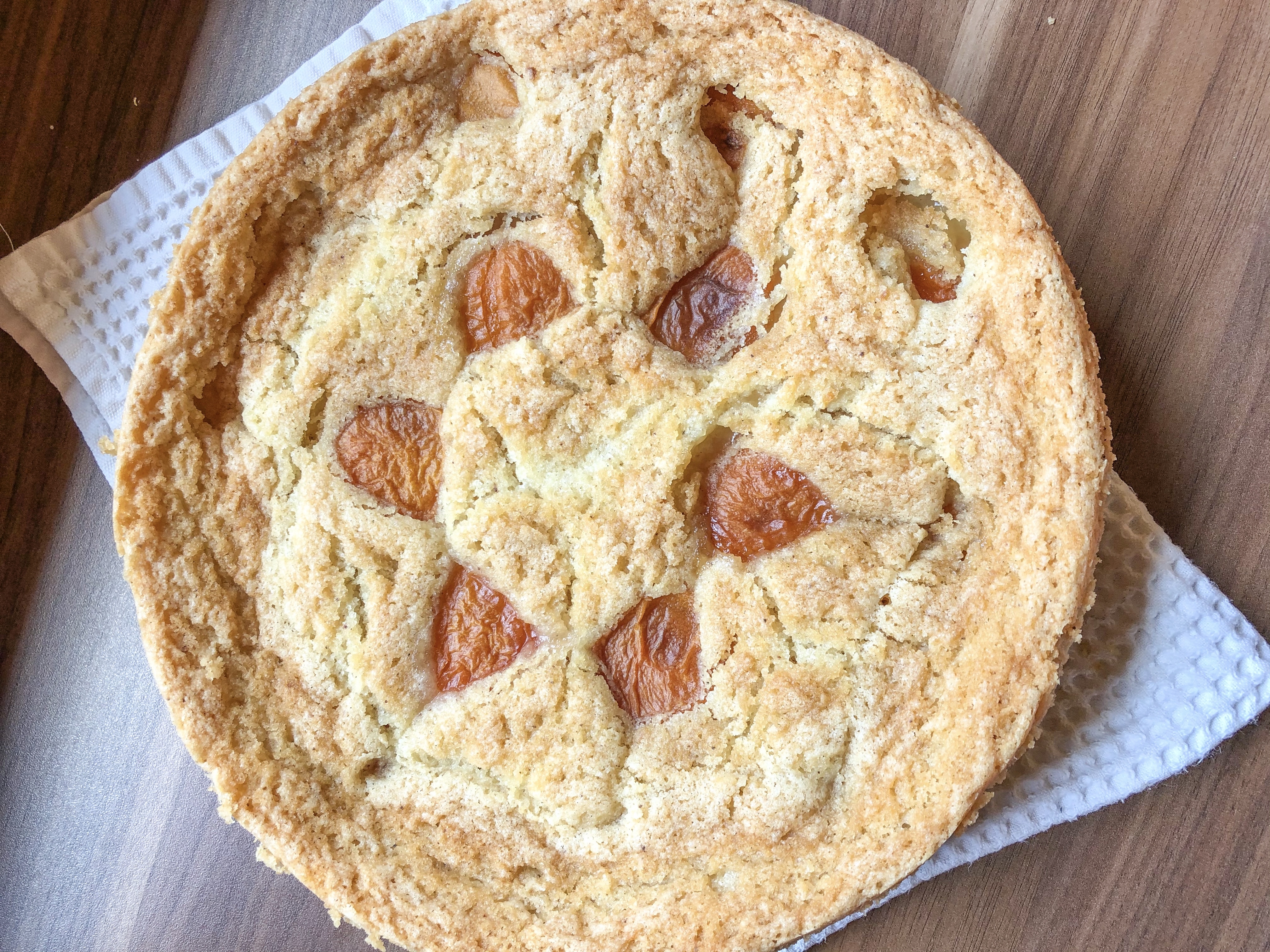 veganer Aprikosenkuchen Marillenkuchen